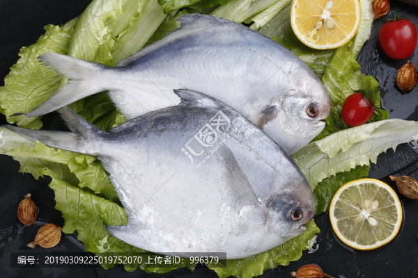 鳊鱼扁鱼银鱼银鲳海鲜海味