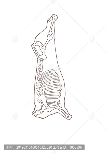 豬肉骨頭