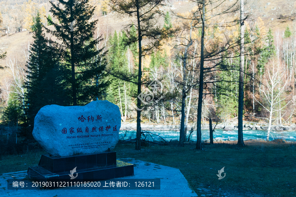喀納斯風光