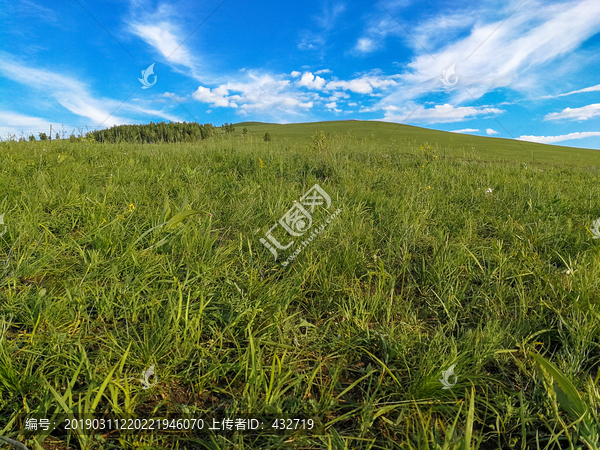 蓝天白云山坡草原