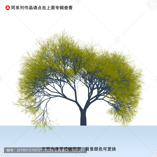 樹主題