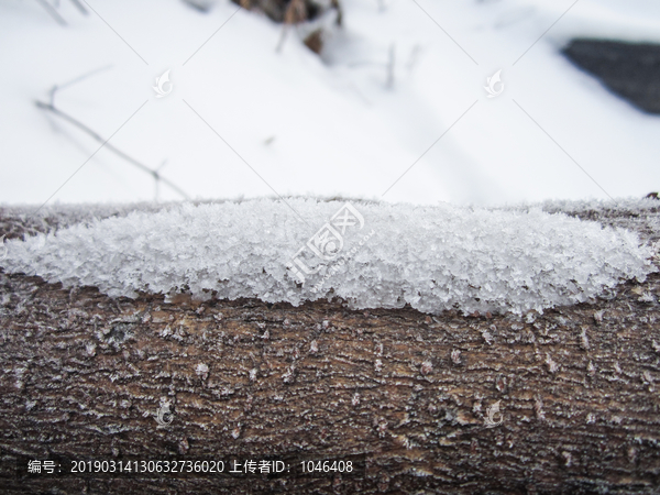 雪