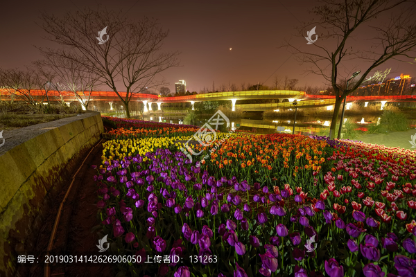 金华燕尾洲郁金香夜景