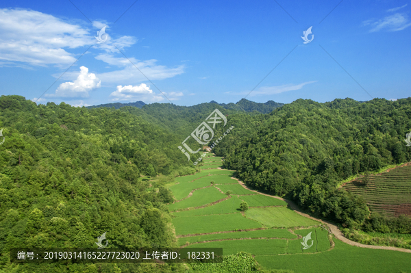 绿色乡土蓝色天空