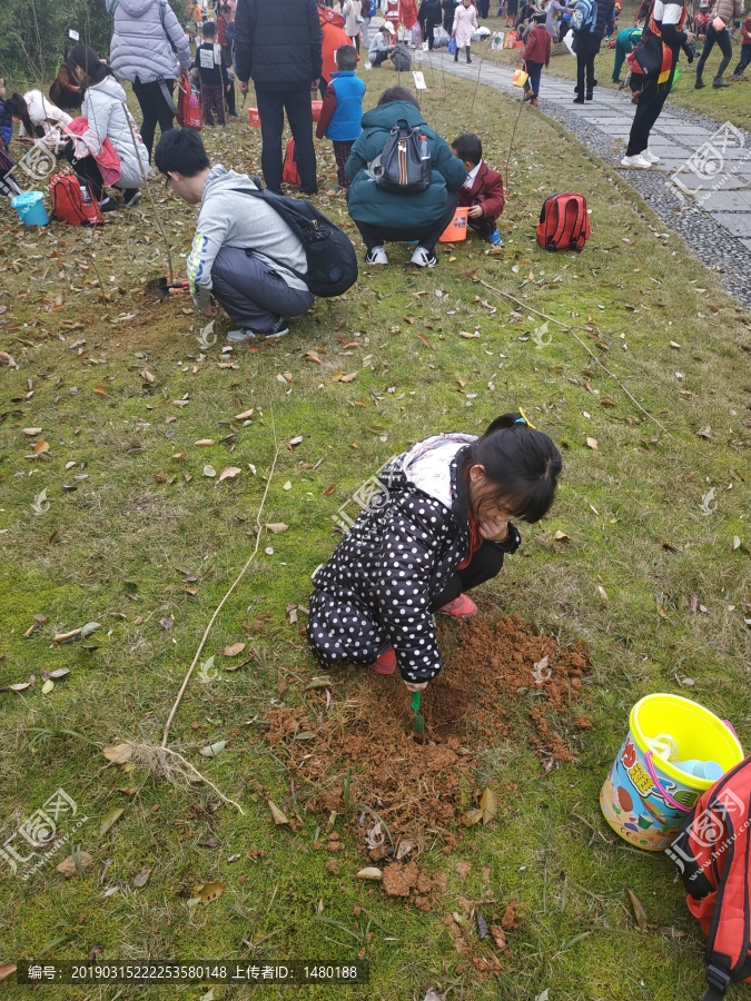 植树小朋友