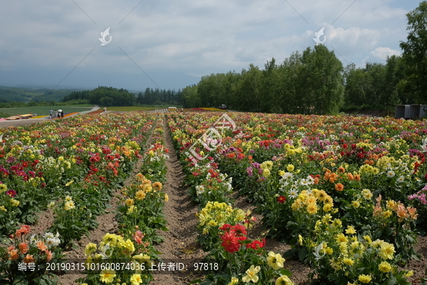 日本北海道