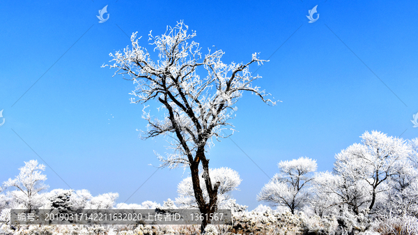 唯美雪景