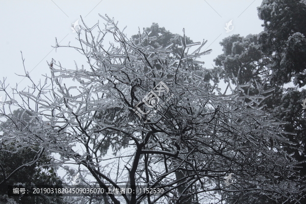 冰雪