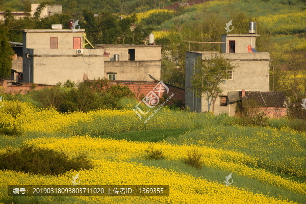 田园春色