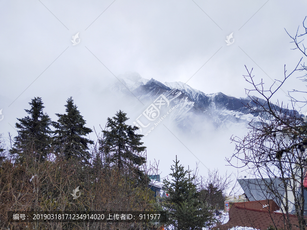 春天雪景