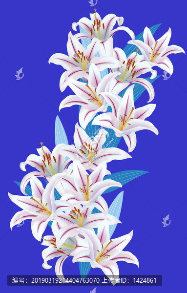 百合花