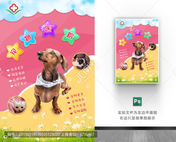 寵物文化