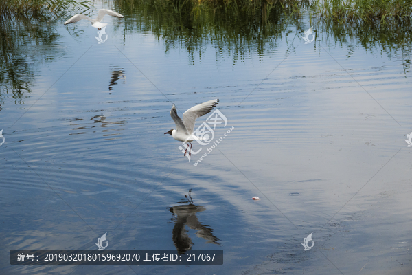 福海风光