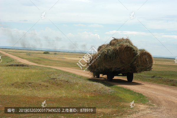 运送牧草的拖拉机