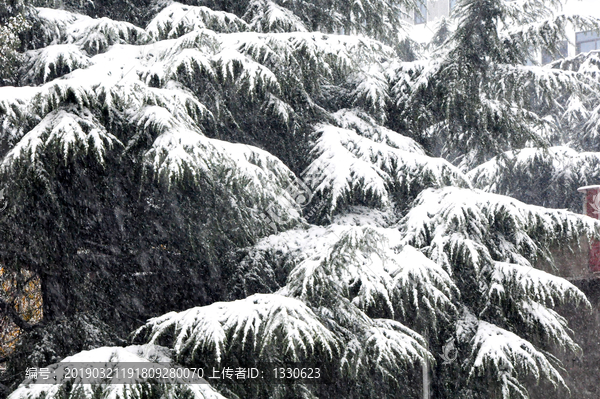 大雪纷飞