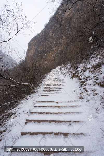 雪中小路