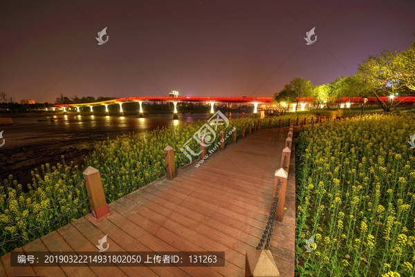 金华婺江畔油菜花夜景