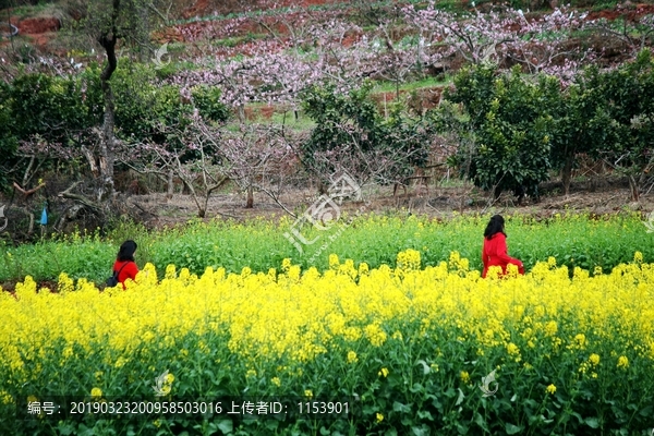 春游