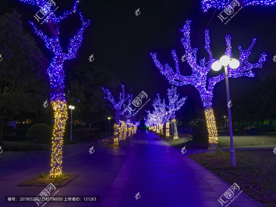 兰溪中洲公园树木彩灯夜景