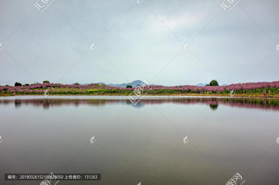 兰溪诸葛草堂樱花园