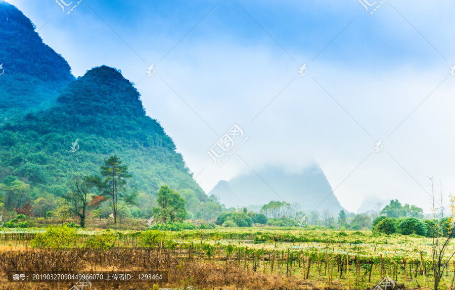 雾色山景