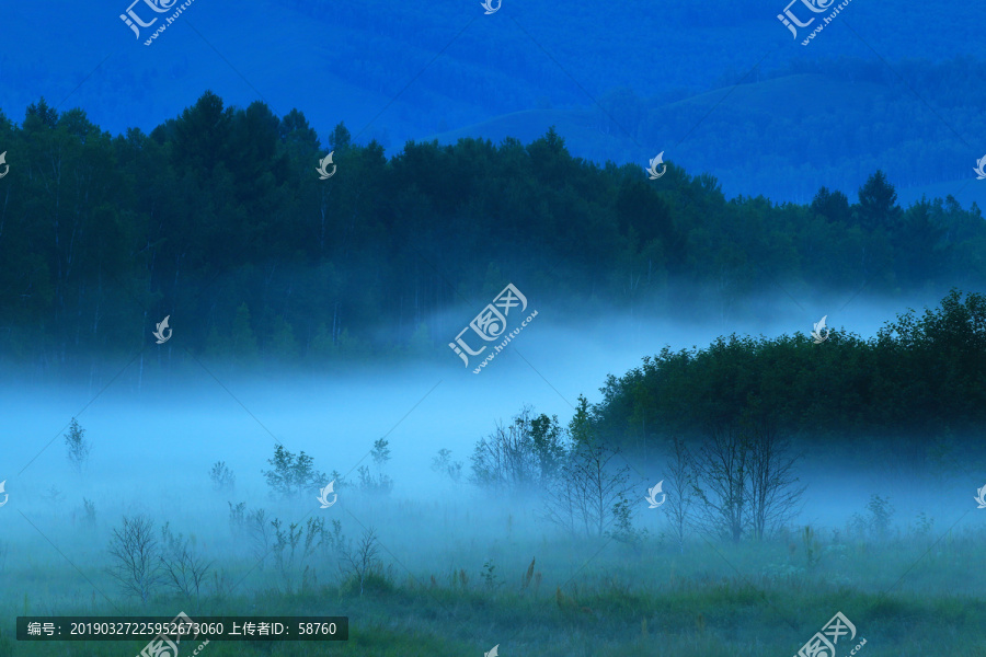 大兴安岭山林夜雾迷漫