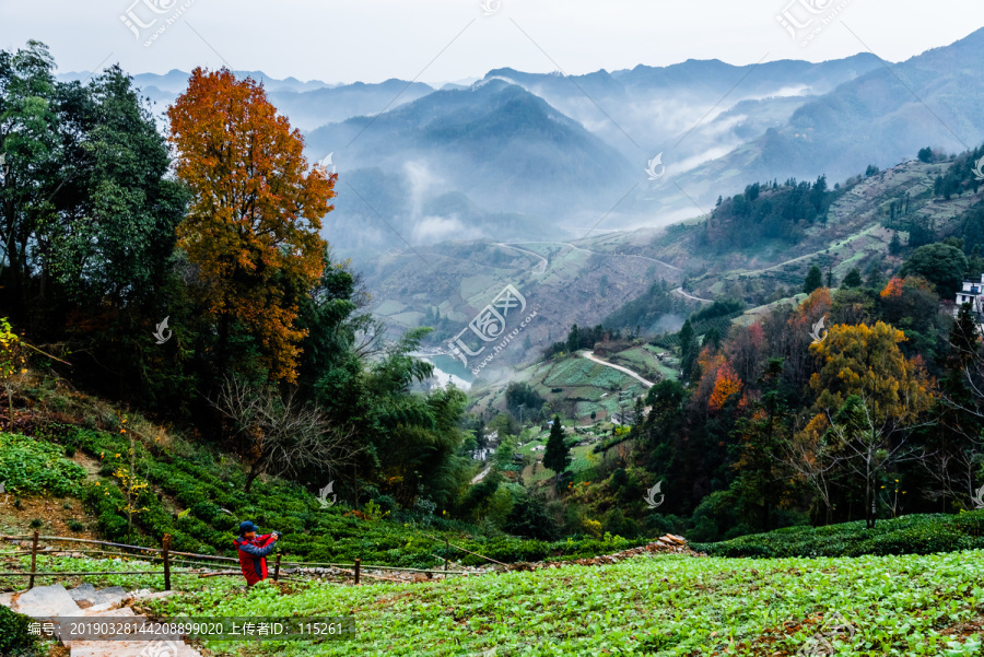 远山雨蒙蒙