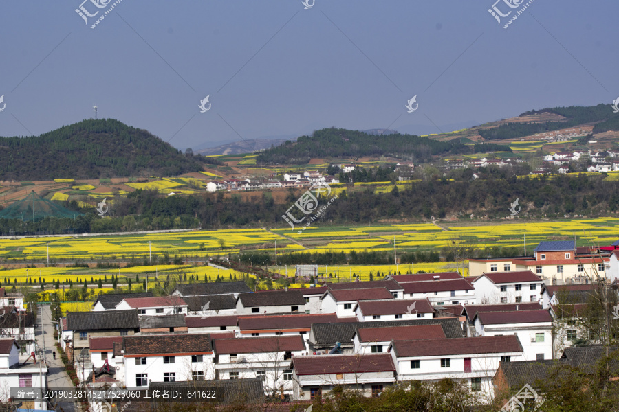 陕西汉中洋县梨园油菜花