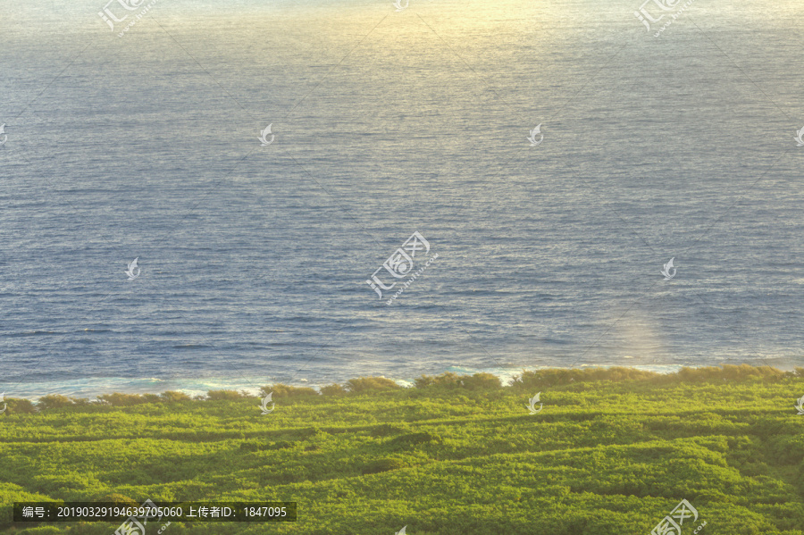 海岸线