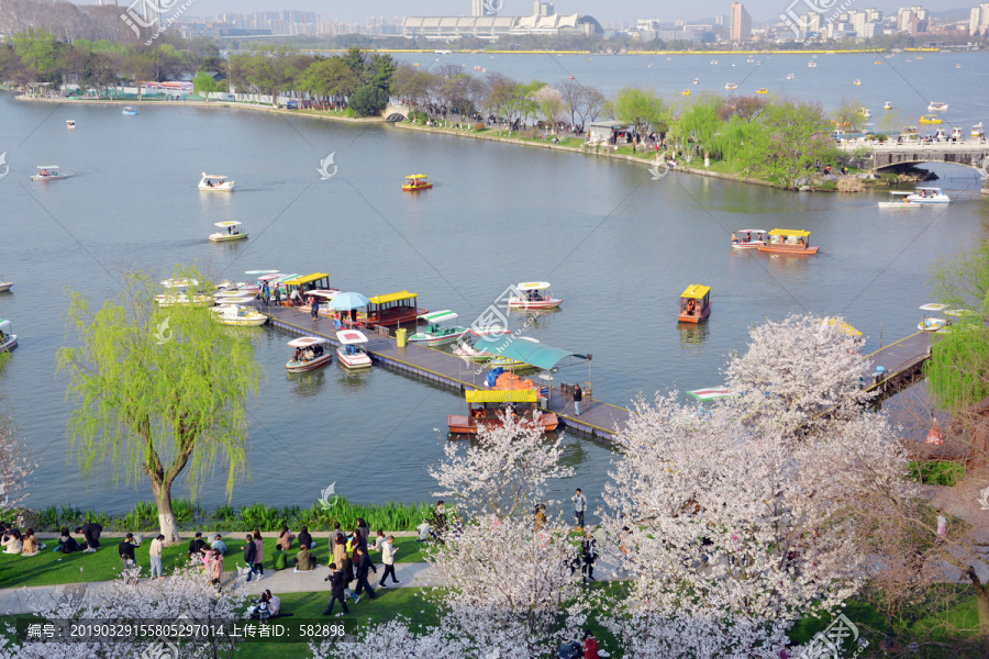 玄武湖美景