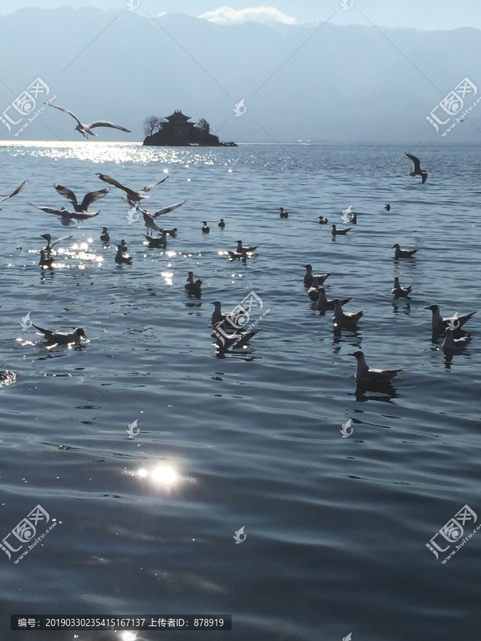 洱海小普陀岛风景