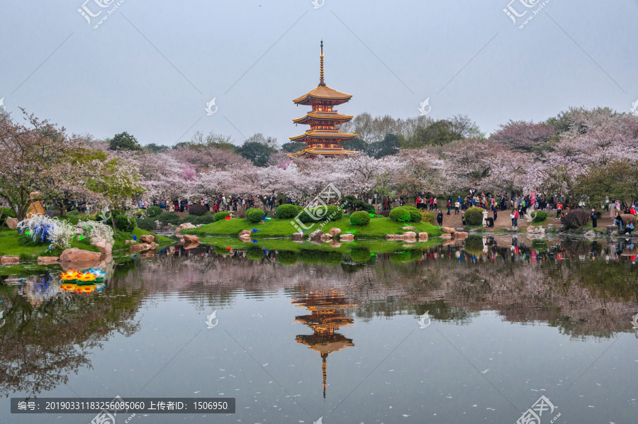 东湖樱花园