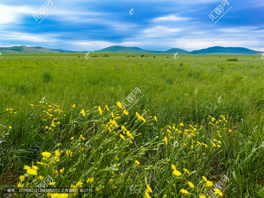 草原野花牧场