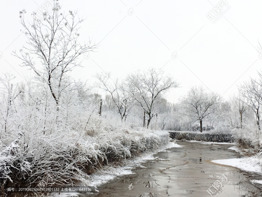 春雪