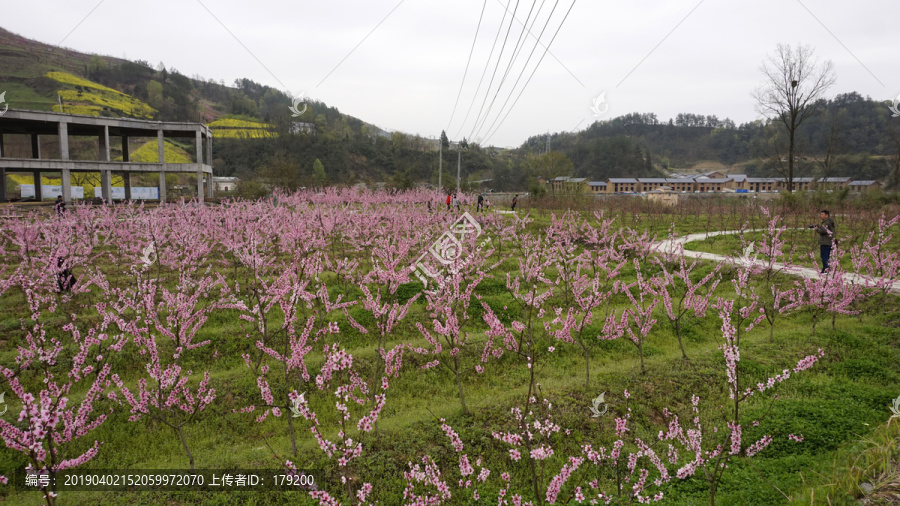 桃花岛风光