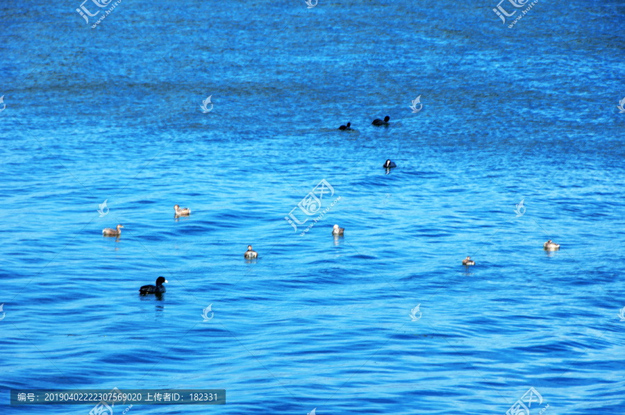 洱海水面