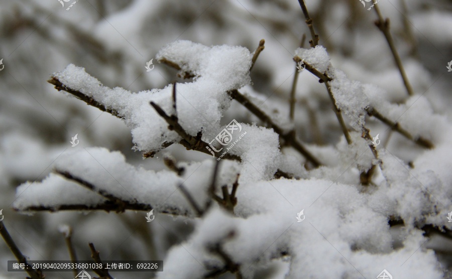 冰雪