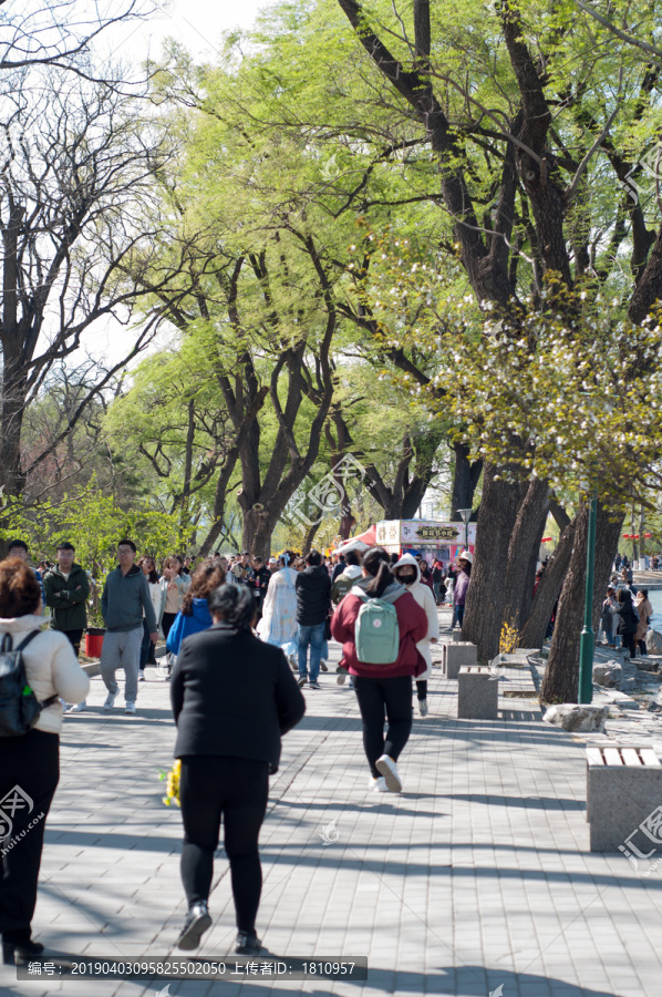 北京玉渊潭春色