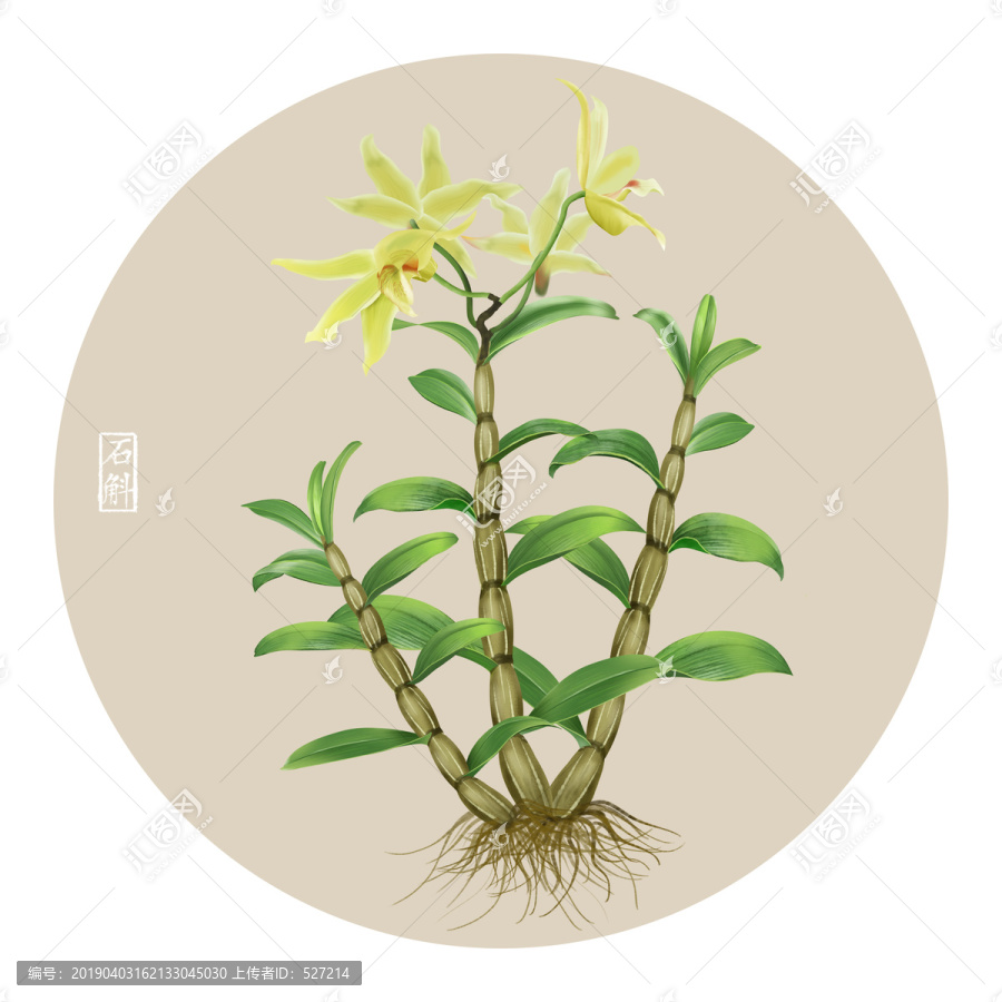 石斛