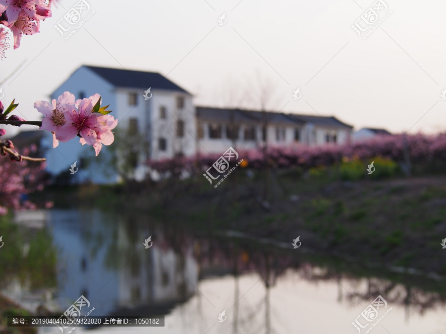 桃花源里人家