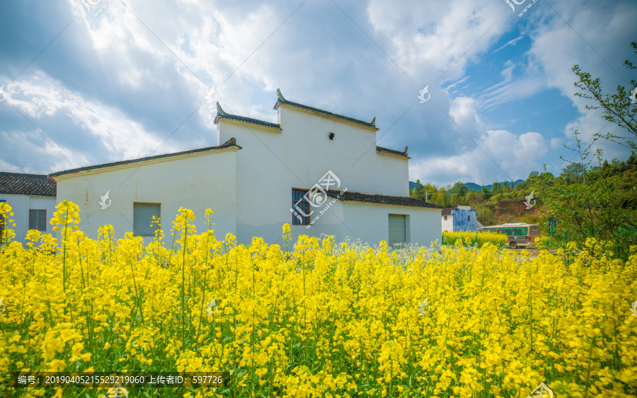 江南建筑油菜花