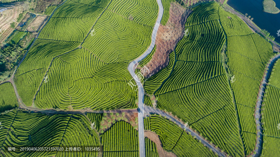 茶山俯瞰