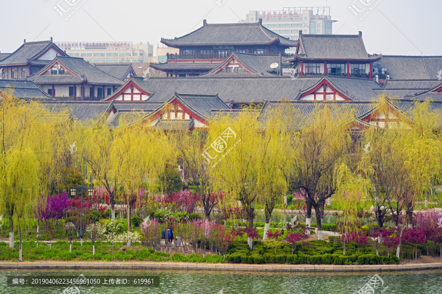 花红柳绿青州南阳河风景区春天