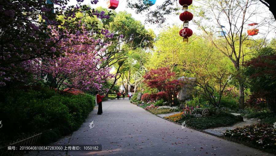 无锡锡惠公园春景