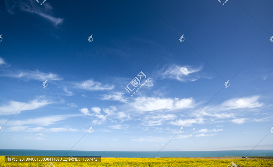 青海湖油菜花