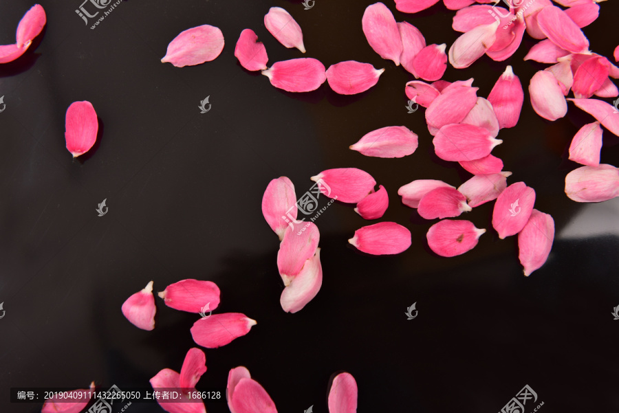 黑色背景粉色花瓣