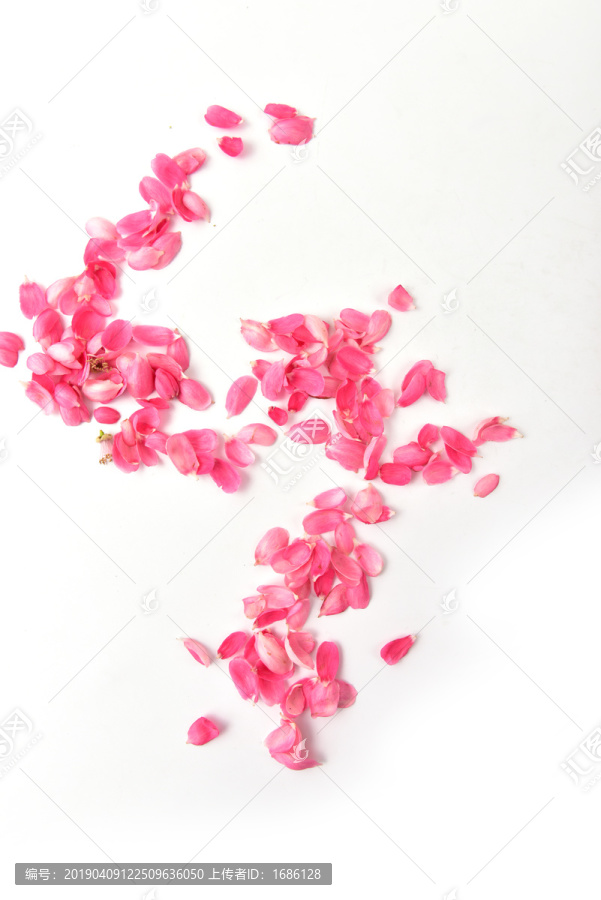 粉色花瓣背景花瓣素材