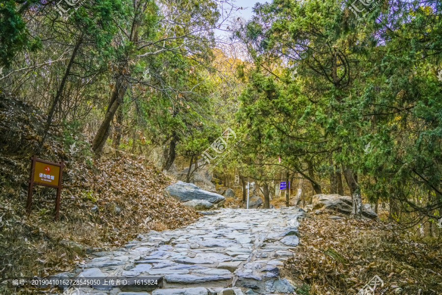 登山步道高清大图