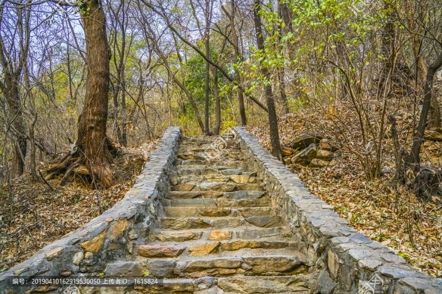 登山步道高清大图