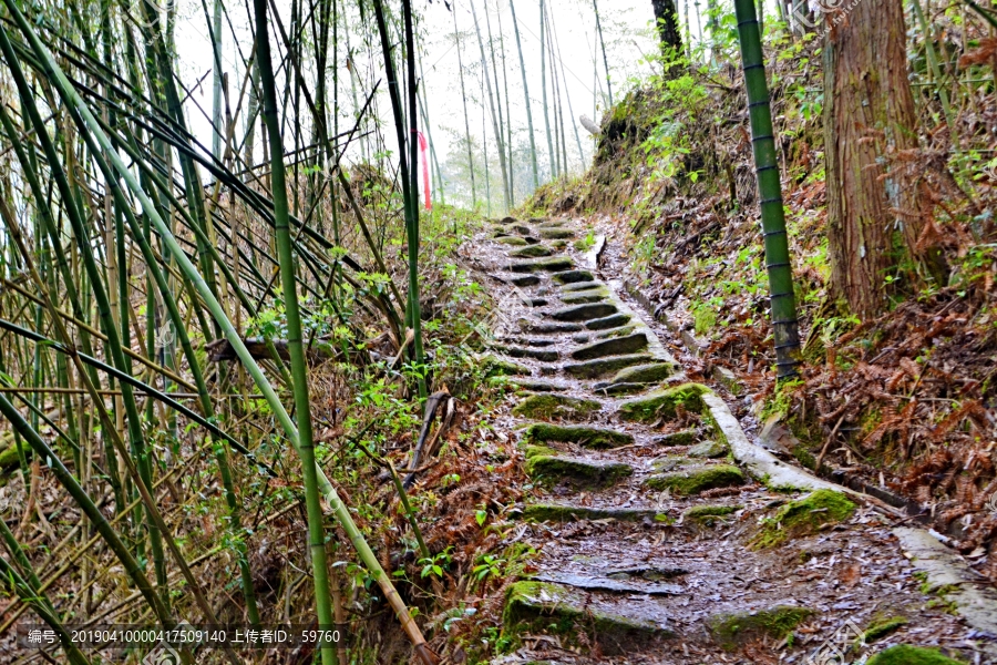 茶盐古道